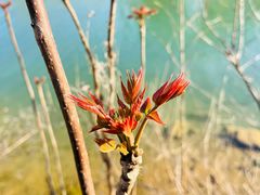 -青州市云门山风景区