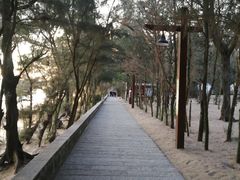 -马銮湾景区
