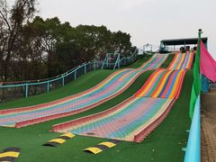 -上海海湾国家森林公园