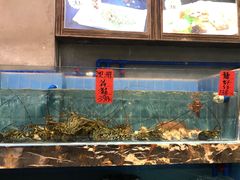 水产区-大树头·花园餐厅(市桥店)