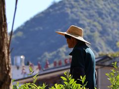 -水墨汀溪风景区