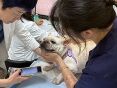 -美联众合动物医院·24h转诊中心