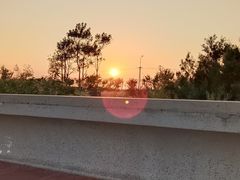 -东堤公园