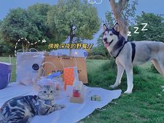 -ZOZO's昌左左精致甜品设计(新北店)