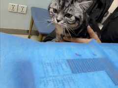 -宠福鑫动物医院(城北分院)