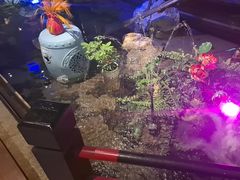 -红蜡烛-养生粥-津鲁菜(中山路店)