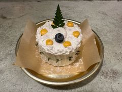 -野草莓自由市场