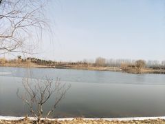 -东郊湿地公园