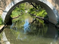 -北坞公园