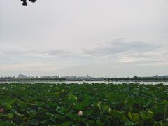 -杭州香格里拉·香宫中餐厅