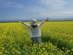 -青海湖国家重点风景名胜区