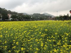 -红山村