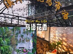 -溪岸路花鸟市场