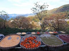 -塔川景区