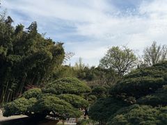 -水绘园