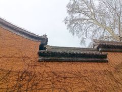 -灵谷景区