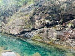 -安吉龙王山风景区