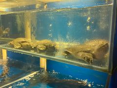 -小湘旺臭鳜鱼(百子湾店)