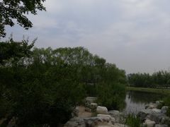 -大兴滨河森林公园