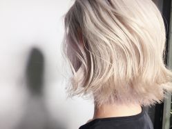 -SALON V