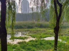 -东坝千亩湖公园