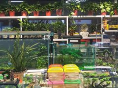 -万达广场(泰安泰山店)