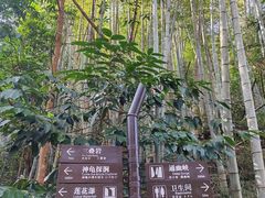 -泽雅景区