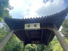 -龙井村
