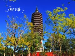 -西海子公园