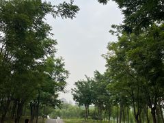 -马家湾湿地公园