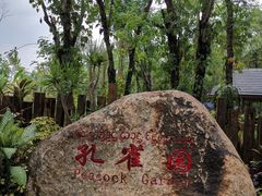 -西双版纳傣族园