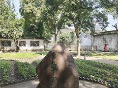 -绍兴鲁迅故里·沈园景区