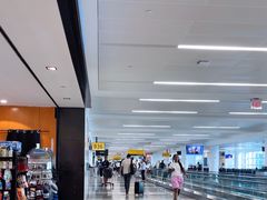 -约翰·菲茨杰拉德·肯尼迪国际机场