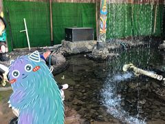 -呀路古热带植物园