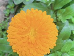 -乐和乐都主题乐园