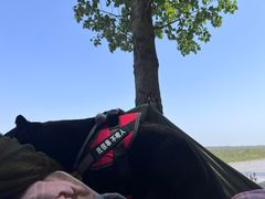 -pd派德宠物中心医院24H急重症·眼科中心·血液透析中心(嵩山北路店)