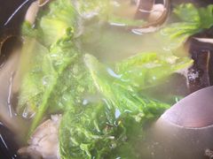 -煲来饱去冷水鱼