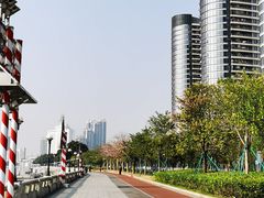-洲头咀公园