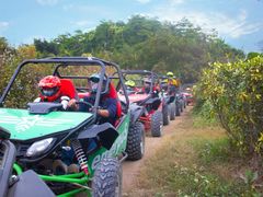 -广东花都香草世界旅游度假区