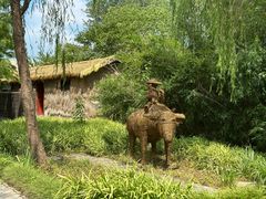 -溱湖国家湿地公园