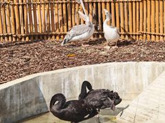 -茅山东方盐湖城景区