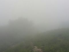 -阳台山自然风景区