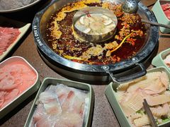 -巴倒烫陆派火锅山庄(南山总店)