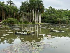 -中国科学院西双版纳热带植物园
