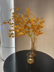 -常熟时代医疗美容