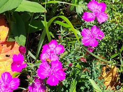 -白草畔自然风景区