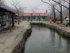 -可心烤鱼