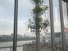 -龙美术馆(西岸馆)