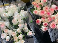 -循礼门鲜花花市(武汉循礼门店)