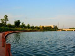 -九里河湿地公园